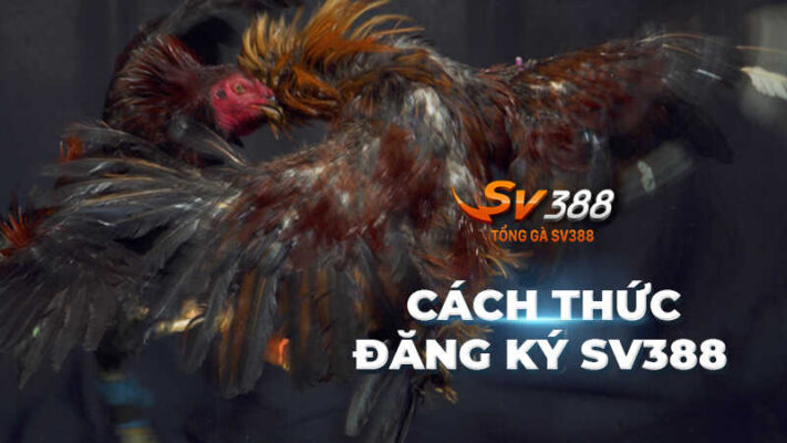 Cách thức đăng ký sv388